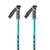 Scott Team Issue Poles -Scott scott team issue poles