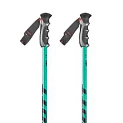 Scott Team Issue Poles